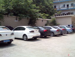 新起點(diǎn)汽車租賃 智能科技驅(qū)動(dòng)的未來(lái)出行服務(wù)